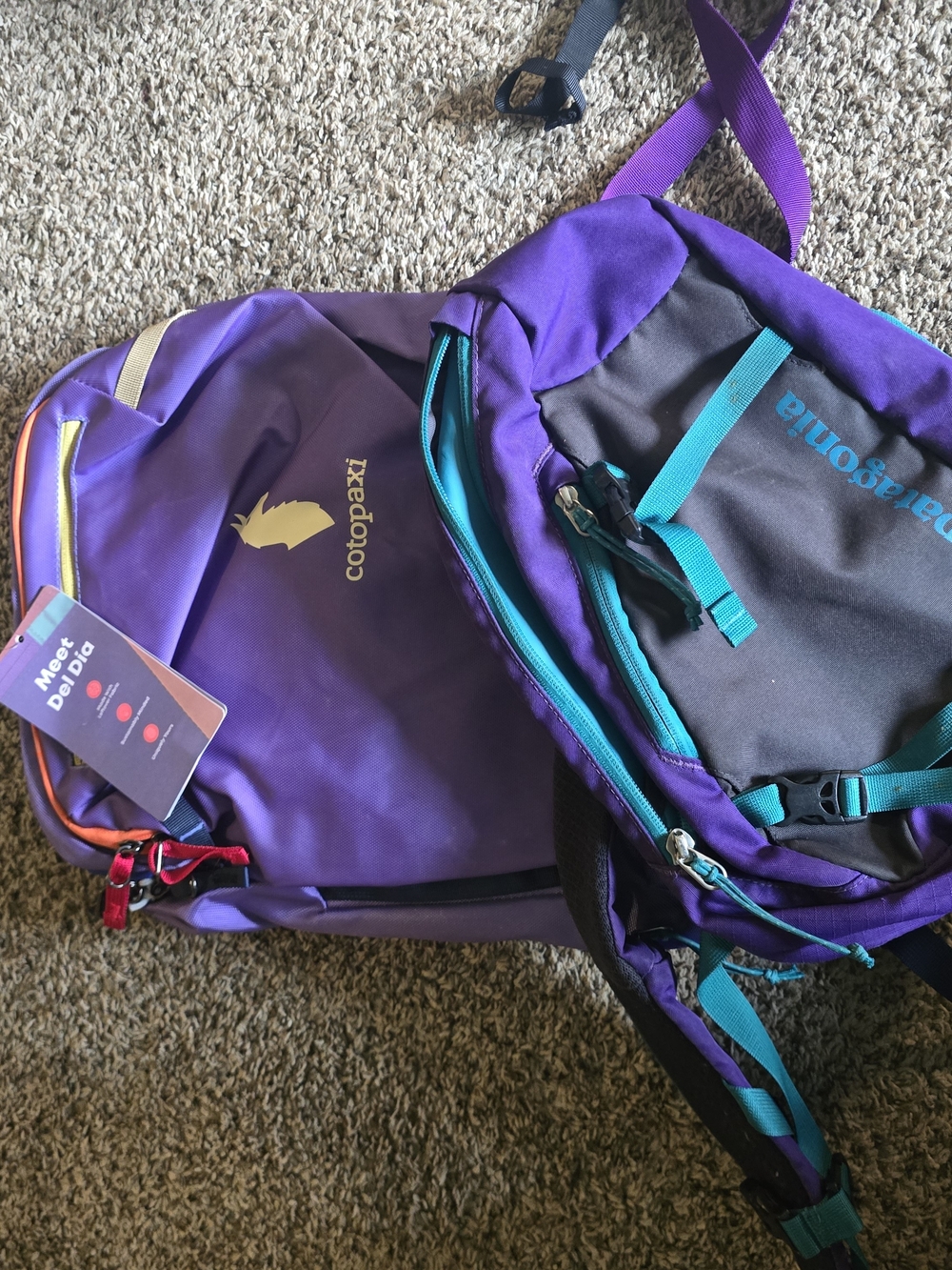 cotopaxi Allpa 28 Purple Backpack with Patagonia Atom 8